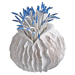 Статуэтка тропический фрукт Tropical Fruit White Blue варинант исполнения - 2 | Loft Concept в Брянске