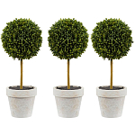 Декоративный искусственное растение Boxwood One варинант исполнения - 1 | Loft Concept в Брянске