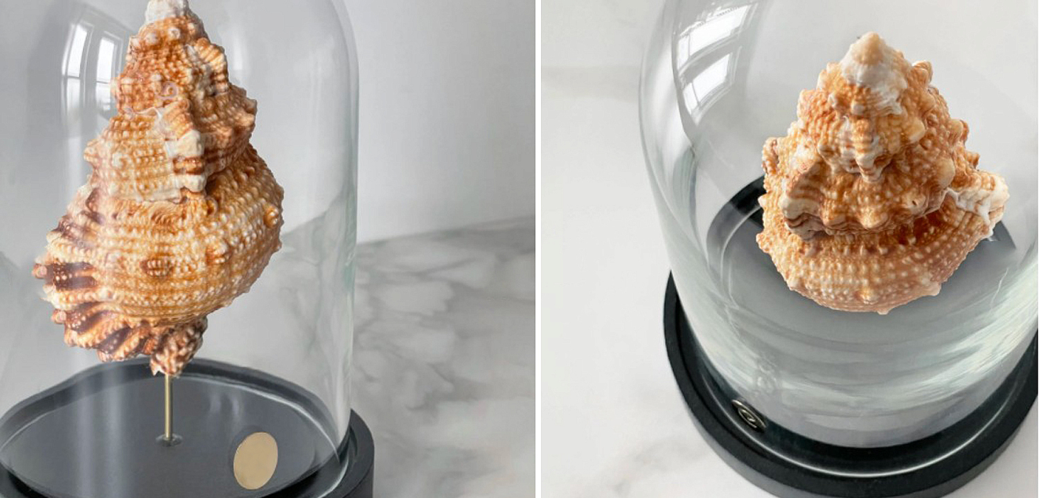 Статуэтка Bursa Rubeta Glass Cloche Статуэтка Bursa Rubeta Glass Cloche - Loft-Concept в Брянске