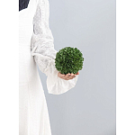 Декоративный искусственное растение Small boxwood варинант исполнения - 3 | Loft Concept в Брянске