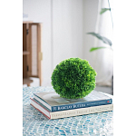 Декоративный искусственное растение Round boxwood варинант исполнения - 6 | Loft Concept в Брянске