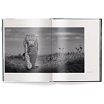 Книга Beusker. Look into my Eyes варинант исполнения - 1 | Loft Concept в Брянске