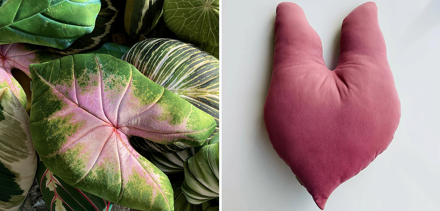 Декоративная подушка Botanical Cushion Caladium Bicolor Декоративная подушка Botanical Cushion Caladium Bicolor - Loft-Concept в Брянске