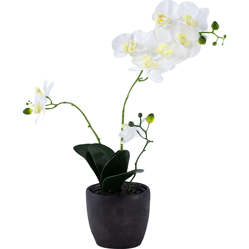 Декоративный искусственное растение Angel Orchid Зеленый Белый Бежевый Декоративный искусственное растение Angel Orchid Зеленый Белый Бежевый в Брянске | Loft Concept