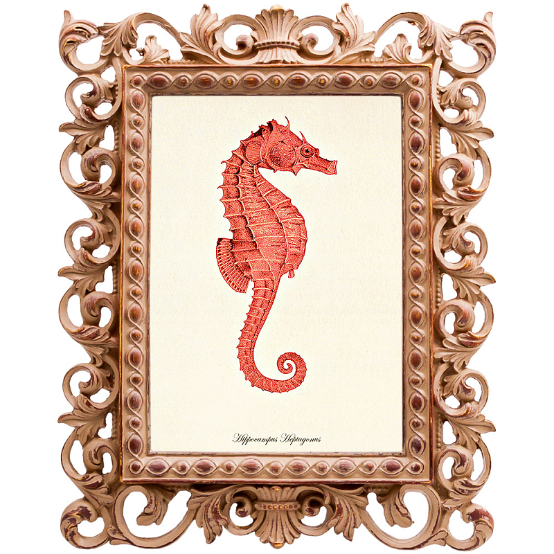 Постер Red Seahorse Poster Бежевый Красный Постер Red Seahorse Poster Бежевый Красный в Брянске | Loft Concept