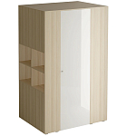 Шкаф-гардероб Mason варинант исполнения - 3 | Loft Concept в Брянске