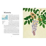 Прекрасно иллюстрированная книга более 100 ботанических произведений Plant Hunters Atlas варинант исполнения - 4 | Loft Concept в Брянске