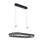 Люстра светодиодная в форме овала из акрила и алюминия с пультом для регулировки света Ring Horizontal Anthracite варинант исполнения - 2 | Loft Concept в Брянске