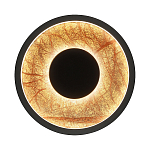 Бра круглое Gold Sun Lighting  варинант исполнения - 1 | Loft Concept в Брянске