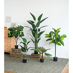 Декоративный искусственное растение Decor Stile  варинант исполнения - 8 | Loft Concept в Брянске