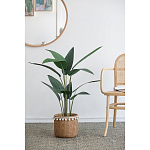 Декоративный искусственное растение Decor Stile  варинант исполнения - 5 | Loft Concept в Брянске