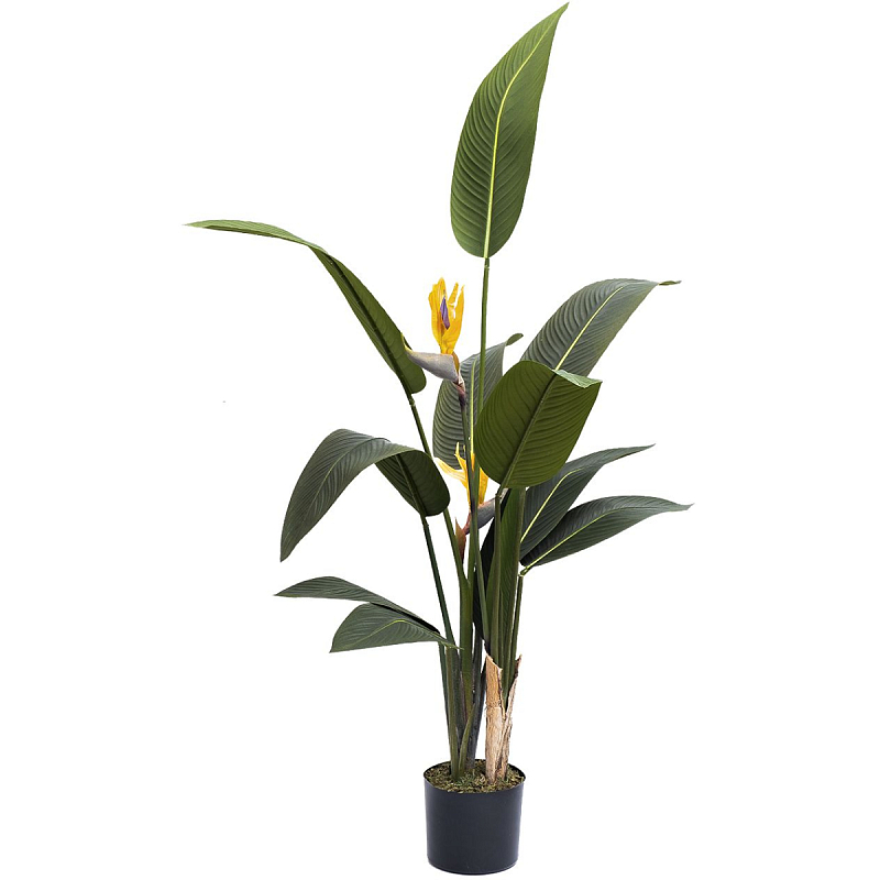 Искусственная Strelitzia Reginae Зеленый Искусственная Strelitzia Reginae Зеленый в Брянске | Loft Concept
