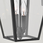 Настенный фонарь черного цвета с прозрачным стеклянным плафоном трапециевидной формы Hinkley варинант исполнения - 4 | Loft Concept в Брянске